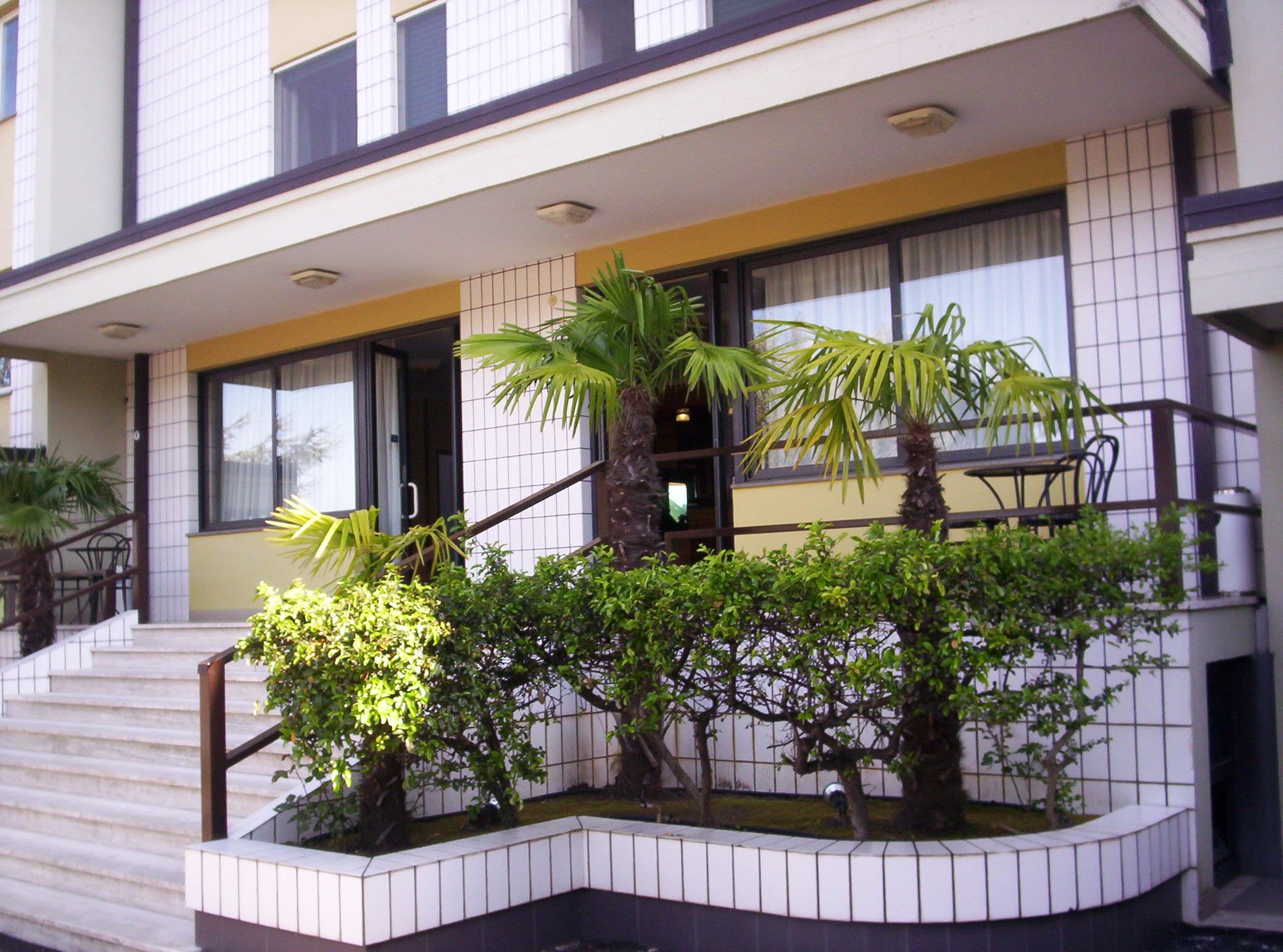 La terrazza esterna con piante e palme
